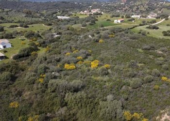 Foto 1 - Terreno agricolo sa curi
 
snc, Golfo Aranci - foto 1