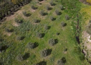 Foto 2 - Terreno agricolo sa curi
 
snc, Golfo Aranci - foto 2