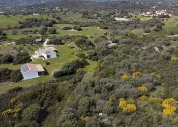 Foto 4 - Terreno agricolo sa curi
 
snc, Golfo Aranci - foto 4