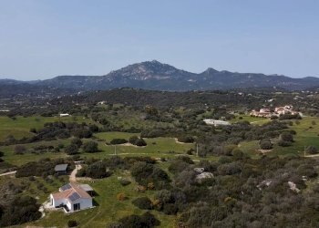 Foto 5 - Terreno agricolo sa curi
 
snc, Golfo Aranci - foto 5