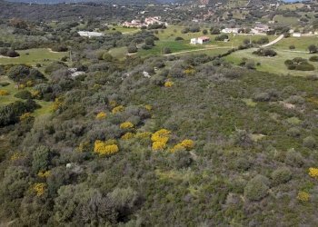 Foto 6 - Terreno agricolo sa curi
 
snc, Golfo Aranci - foto 6