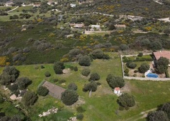 Foto 7 - Terreno agricolo sa curi
 
snc, Golfo Aranci - foto 7