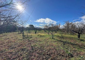 Foto 7 - Terreno agricolo via vicinale ottanta moggia, Terzigno - foto 7