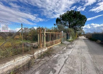 Foto 8 - Terreno agricolo via vicinale ottanta moggia, Terzigno - foto 8