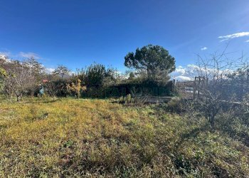 Foto 10 - Terreno agricolo via vicinale ottanta moggia, Terzigno - foto 10