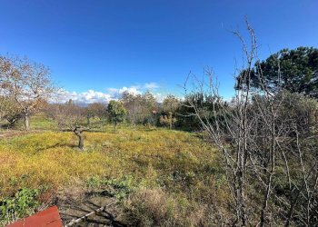 Foto 11 - Terreno agricolo via vicinale ottanta moggia, Terzigno - foto 11