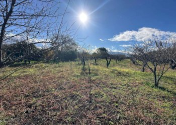 Foto 13 - Terreno agricolo via vicinale ottanta moggia, Terzigno - foto 13