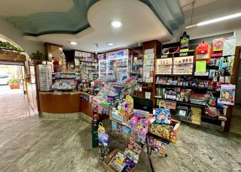 Dispensa di stoccaggio - Commercial Activity Piazza Pagliarelli
 
27, Palermo - photo 8