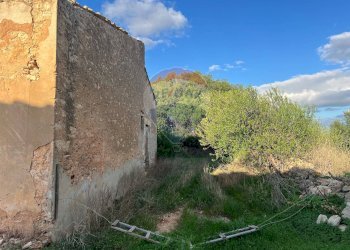 Giardino - Rustico sc 35 6, Santa Croce Camerina - foto 5