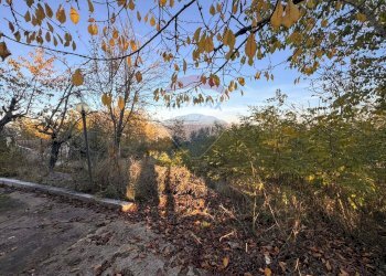 Giardino - Rustico Strada Comunale Vicenne
 
snc, Castellino del Biferno - foto 3