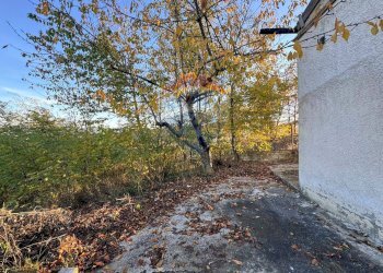 Giardino - Rustico Strada Comunale Vicenne
 
snc, Castellino del Biferno - foto 10