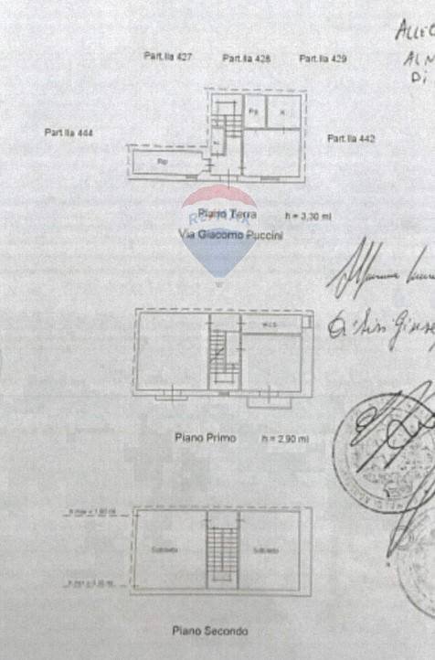 Pianta 2D - Appartamento Via Puccini
 
19, Caltavuturo - planimetria 1