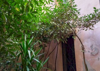 Foto 2 - Quadrilocale VIA CORRIDONI, Mantova - foto 2