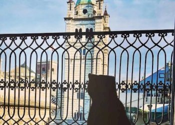 Balcone - Attic Genova (neighborhood Centro Storico) - photo 5