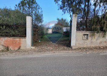 Giardino - Casa indipendente Via Serra Perdosa
 
114, Quartu Sant'Elena - foto 5