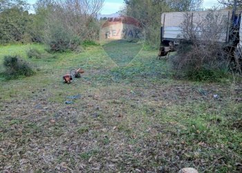 Giardino - Casa indipendente Via Serra Perdosa
 
114, Quartu Sant'Elena - foto 2