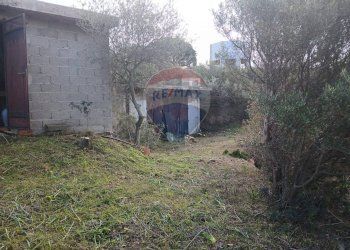 Giardino - Casa indipendente Via Serra Perdosa
 
114, Quartu Sant'Elena - foto 9