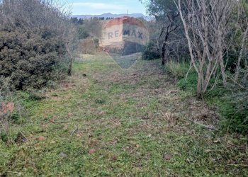 Vista delle montagne - Casa indipendente Via Serra Perdosa
 
114, Quartu Sant'Elena - foto 15