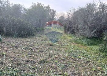 Giardino - Casa indipendente Via Serra Perdosa
 
114, Quartu Sant'Elena - foto 17