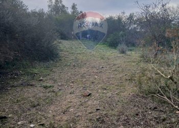 Non correlato - Casa indipendente Via Serra Perdosa
 
114, Quartu Sant'Elena - foto 18