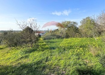 Giardino - Casa indipendente Via Serra Perdosa
 
114, Quartu Sant'Elena - foto 22