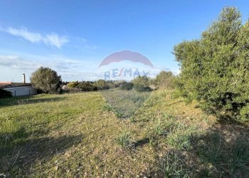 Giardino - Casa indipendente Via Serra Perdosa
 
114, Quartu Sant'Elena - foto 23