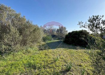 Giardino - Casa indipendente Via Serra Perdosa
 
114, Quartu Sant'Elena - foto 24