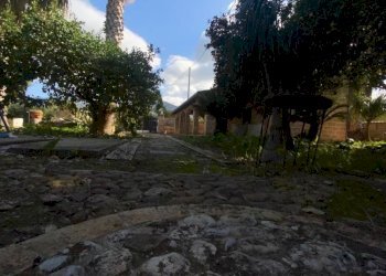 Terreno - Villa contrada Serre, Carini - foto 10