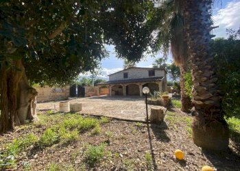 Giardino - Villa contrada Serre, Carini - foto 11