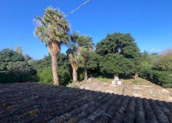 Terreno - Villa contrada Serre, Carini - foto 22