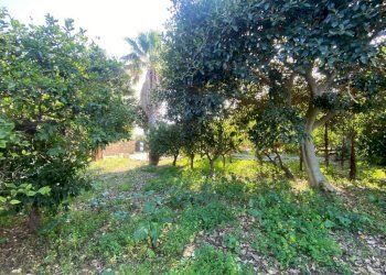 Giardino - Villa contrada Serre, Carini - foto 31