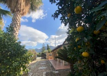 Giardino - Villa contrada Serre, Carini - foto 33