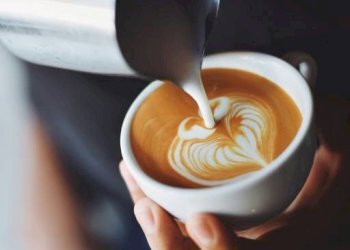 Altro - Bar Tavola Calda - Fredda Torino (zona Pozzo Strada) - foto 8