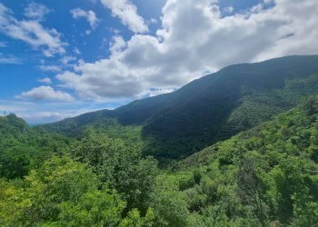 Foto 32 - Villa Strada Provinciale 34, Balestrino - foto 32