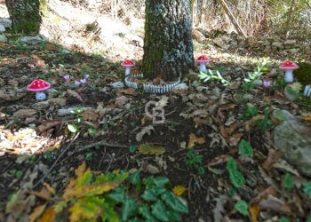 Foto 22 - Villa Località Le Pantane, Vejano - foto 22