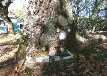 Foto 24 - Villa Località Le Pantane, Vejano - foto 24