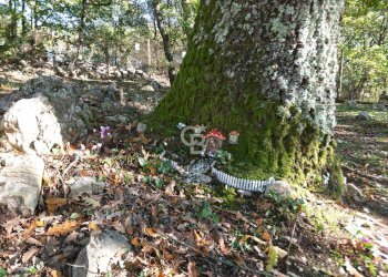 Foto 25 - Villa Località Le Pantane, Vejano - foto 25