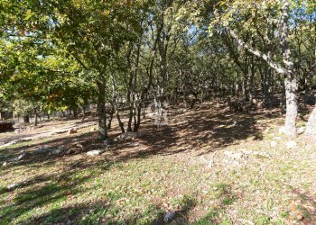 Foto 44 - Villa Località Le Pantane, Vejano - foto 44