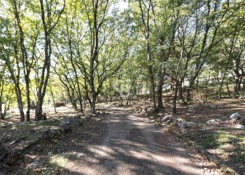 Foto 48 - Villa Località Le Pantane, Vejano - foto 48