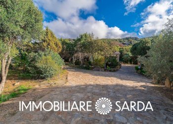 Foto 64 - Villa Arzachena - foto 64