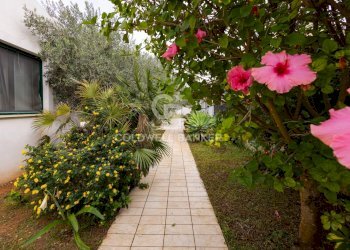 Foto 47 - Villa Via Pulizzi Chianu, Petrosino - foto 47