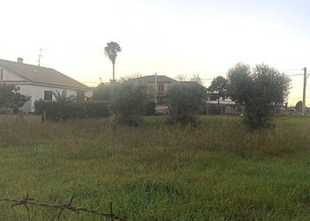 Terreno - Terreno edificabile via Passo della Futa, Nettuno - foto 4