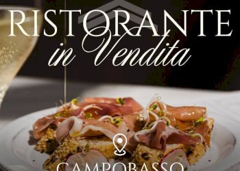 Foto 1 - Commercial Activity Via Palombo, Campobasso - photo 1