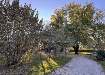 IMG_9641.jpg - Villa Mirano - foto 27