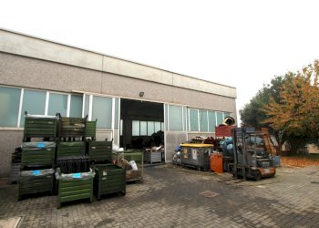 IMG_8443.jpg - Casa indipendente Via Provinciale Est, Valsamoggia - foto 22