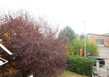 IMG_8452.jpg - Capannone Via Provinciale Est, Valsamoggia - foto 29