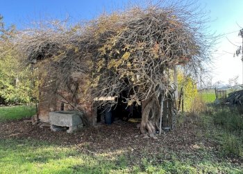 IMG_1381.jpeg - Rustico Via Ca' Rossa, Valsamoggia - foto 10