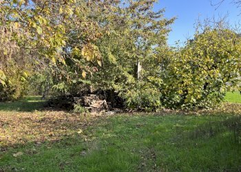 IMG_1384.jpeg - Rustico Via Ca' Rossa, Valsamoggia - foto 13