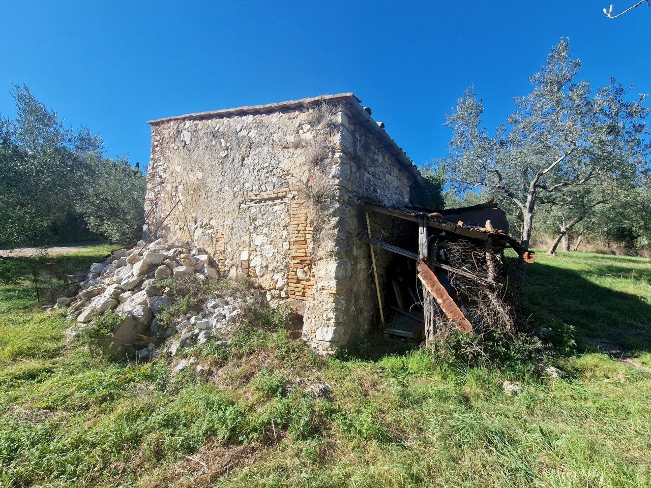 20251008_152253.jpg - Villa Via Sant'Antonio, Lugnano in Teverina - photo 3