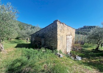 20251008_152412.jpg - Villa Via Sant'Antonio, Lugnano in Teverina - photo 1